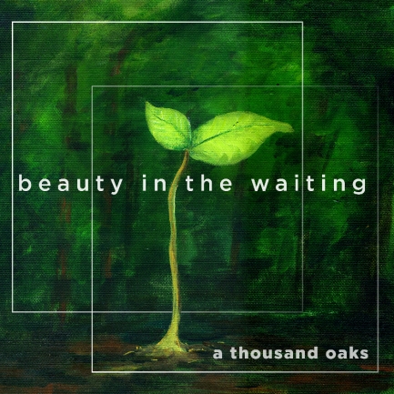Beauty in the Waiting album art